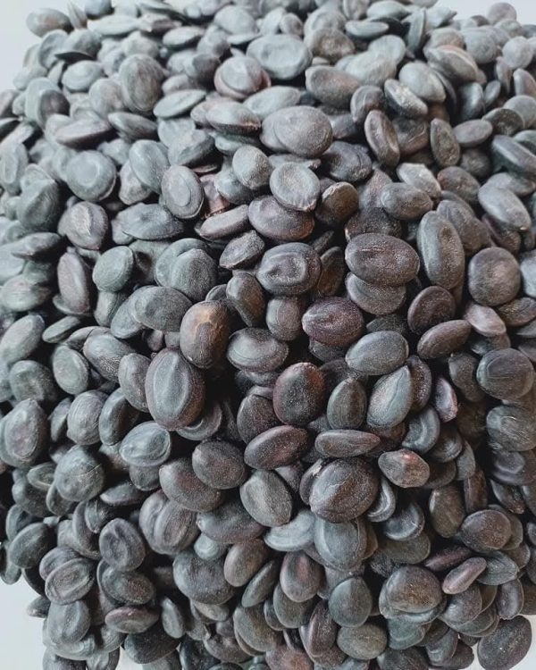 Yongchak Maru Akangba(Stinky bean)